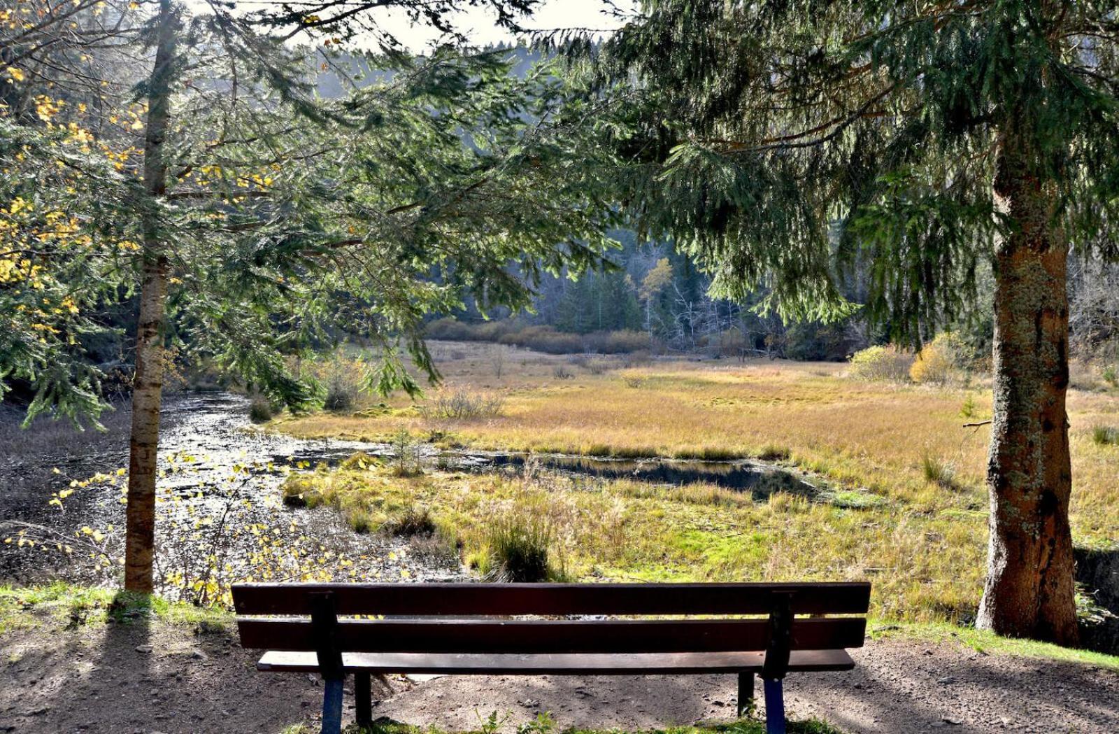 Auberge De L'Etang Du Devin Lapoutroie Eksteriør bilde